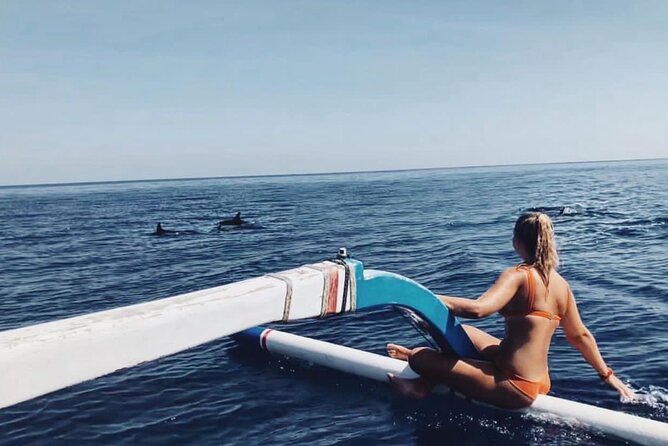 Dolphin Watching Tour, Swimming with Dolphins and Snorkeling - Key points to know before booking