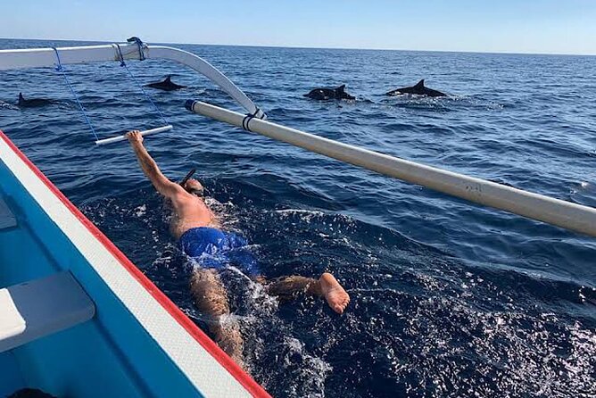 Dolphin Watching Tour, Swimming with Dolphins and Snorkeling - Who should book this Lovina experience