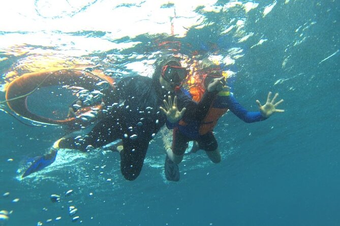Early Bird Speedboat Group Tour : Explore Komodo Ahead of Crowds - Komodo Island means wildlife with a ranger