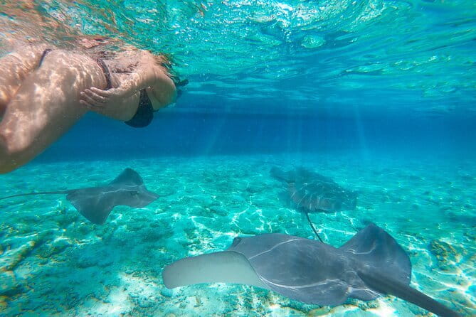 Early Morning Private Komodo Speedboat Tour - The practical shape of an 11-hour day