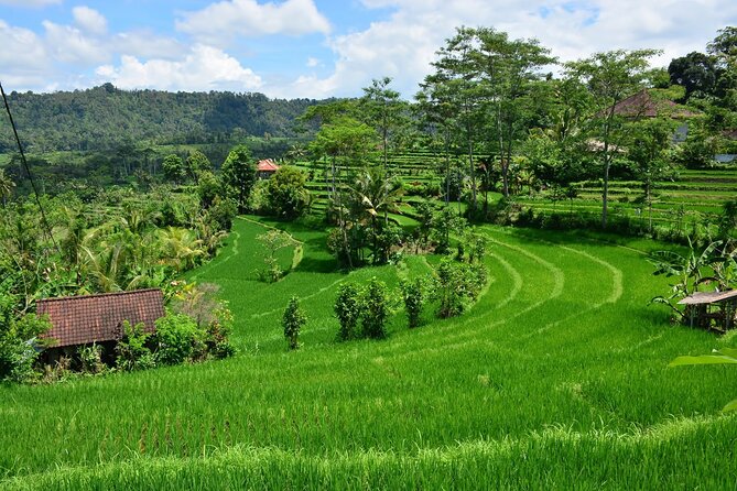East Bali Tour: Gate of Heaven, Water Palace, Sleeping Gajah - The real value of the $100 price