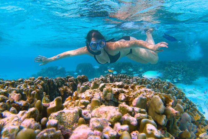 East Lombok Secred Gilis (Gili Kondo, Gili Bidara, Gili Petagan, Gili kapal) - Gili Bidara’s shallow coral for beginners