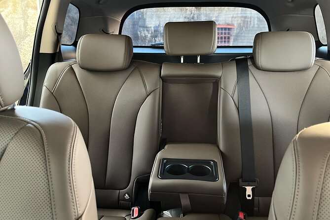 Eco Friendly Premium Electric Vehicle Airport Transfers - A quieter first hour in Bali