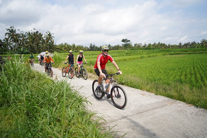 Electric Bike and Swing Package - Key points to know before you book