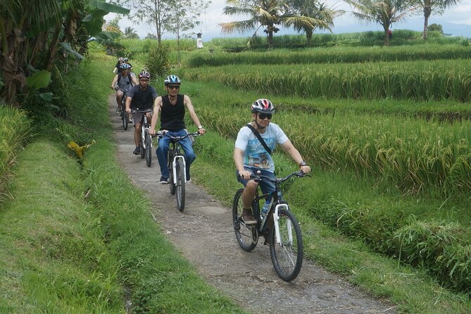 Electric Bike and Swing Package - Finishing the ride in Tegallalang