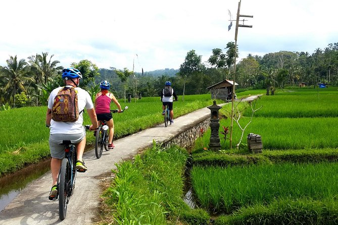 Electric Cycling Tour of Ubud with Free Hotel Transfer and Lunch - Pickup and the first ride briefing