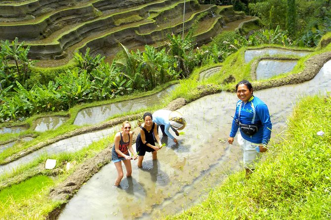 Electric Cycling Tour of Ubud with Free Hotel Transfer and Lunch - Lunch after the morning ride, dinner after the afternoon ride