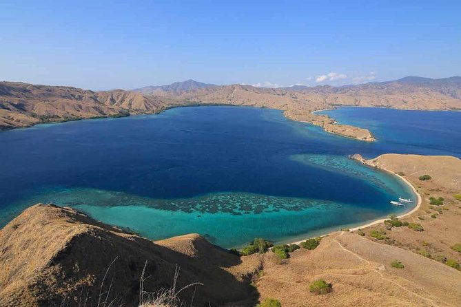 Exclusive Early Bird Komodo Tour: Beat the Crowds by Speed Boat - Why the 5:30 a.m. departure matters