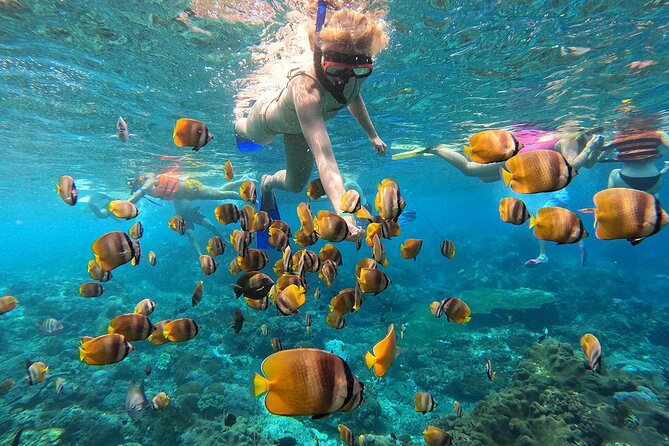 Explore 4 iconic snorkeling spots of Manta Bay in Nusa Penida - Key points to know before booking