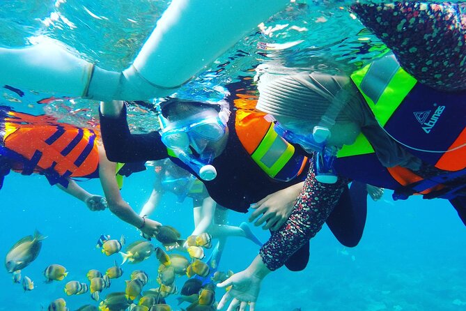 Explore 4 iconic snorkeling spots of Manta Bay in Nusa Penida - Four Nusa Penida stops in one short trip