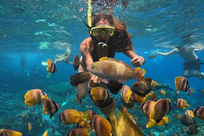 Explore 4 iconic snorkeling spots of Manta Bay in Nusa Penida - Third stop: coral reefs and a possible turtle sighting