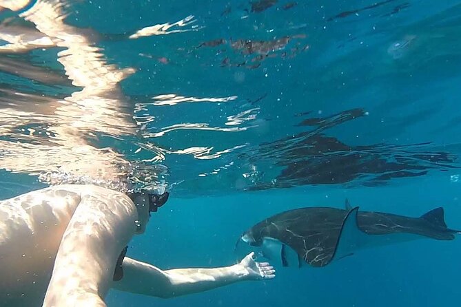 Explore 4 iconic snorkeling spots of Manta Bay in Nusa Penida - Fourth stop: Wall Bay’s red coral and deep drop