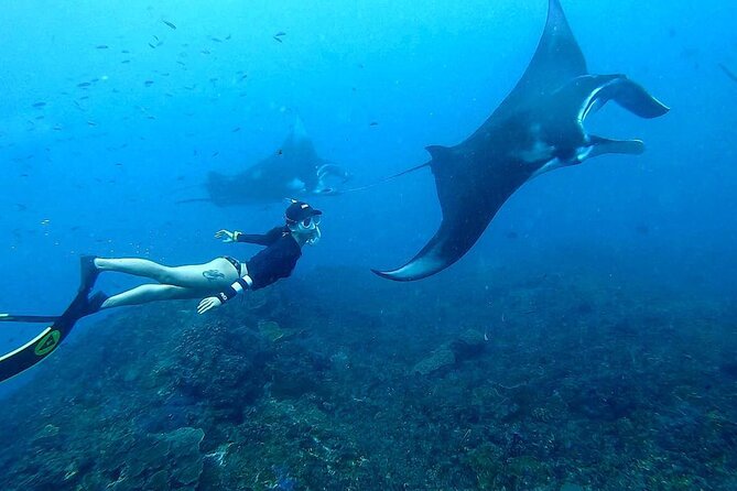 Explore 4 iconic snorkeling spots of Manta Bay in Nusa Penida - How much time do you really get in the water?