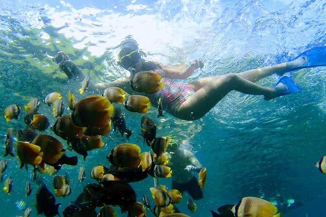 Explore 4 iconic snorkeling spots of Manta Bay in Nusa Penida - Boat comfort and getting back into the watercraft