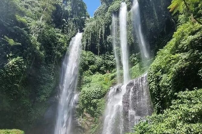 Explore Munduk Customized 8 Hour Day Tour in North Bali - Building a route around your priorities