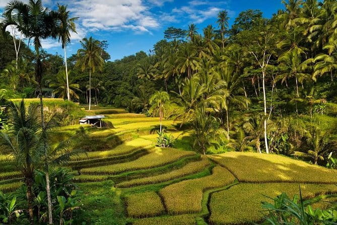 Exploring Bali in 3 Days: Discover Top Places in Bali - What this three-day Bali plan really covers