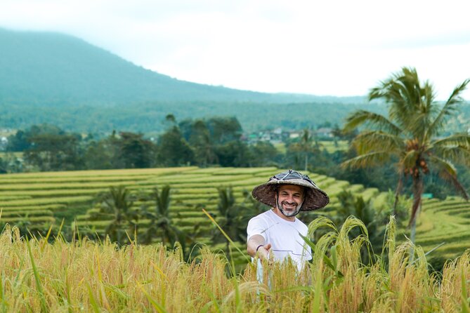 Exquisite UNESCO World Heritage Sites in Bali - What the $65 price really covers
