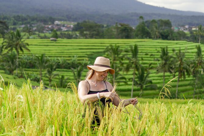 Exquisite UNESCO World Heritage Sites in Bali - The pace, fitness level, and practical tradeoffs