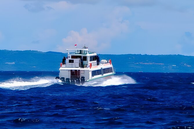 Fast Boat Transfer Bali to Gili & Lombok + Private Hotel Pick-up - Who will find this service most useful?