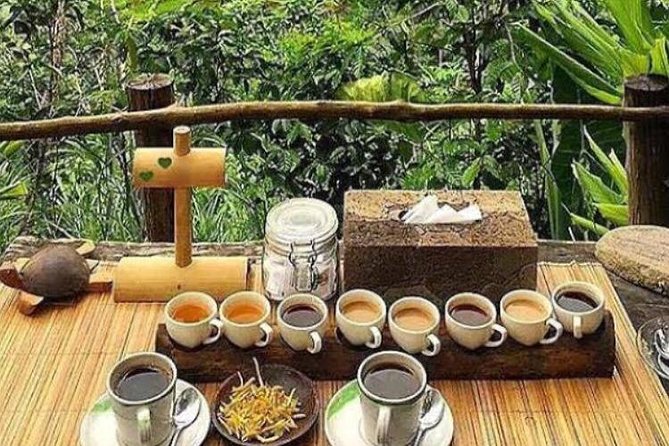 Favorite Sites of Ubud Daytrip - What the driver adds to the day