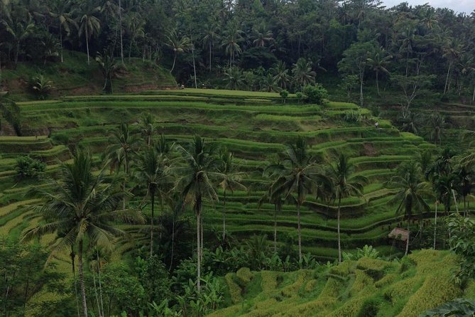 Favorite Sites of Ubud Daytrip - Celuk Village and Bali’s silver craft