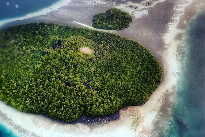 Flying Fox Island Sunset Cruise Private Boat Charter Labuan Bajo - Why Kalong Island is worth an evening