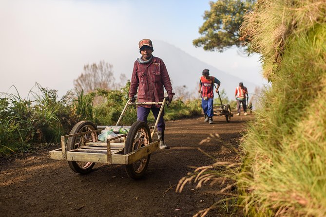 From Bali : Bromo & Kawah Ijen – 3-Day Adventure - What the accommodation and meals are really worth
