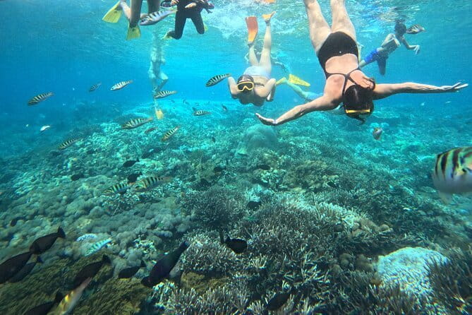 From Bali: Nusa Penida Full Day Tour and Snorkeling - What the $91 price really covers