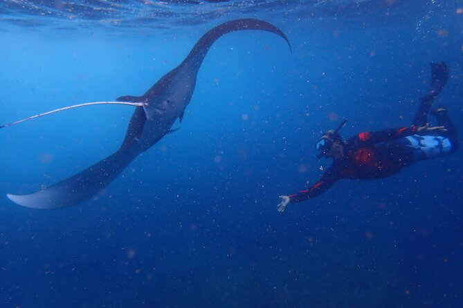 From Lembongan: Snorkeling Day Trip to Nusa Lembongan & nusa Penida island - Three coral stops across two Nusa islands