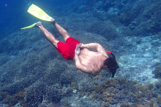 From Lembongan: Snorkeling Day Trip to Nusa Lembongan & nusa Penida island - Manta Bay and Crystal Bay when conditions allow