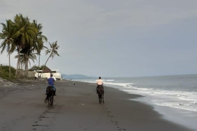 From Ubud 1 Hour Horse Riding at The Beach Experiences - From Ubud’s lanes to Saba Beach