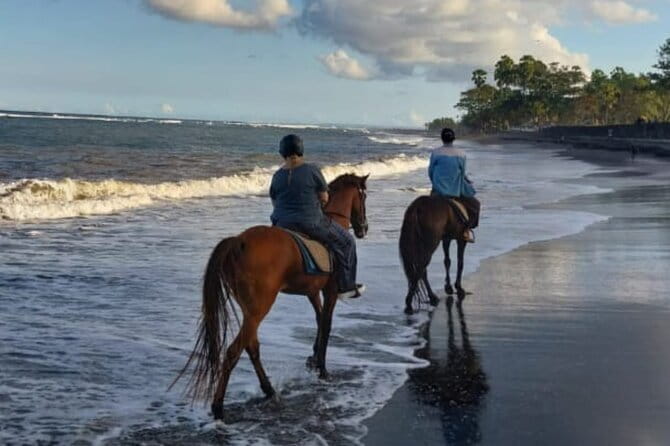 From Ubud 1 Hour Horse Riding at The Beach Experiences - Who will enjoy this beach ride most