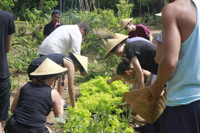 From Ubud: Authentic Bali Farm Cooking School & Organic Farm - The recipe book makes the $38 price more useful
