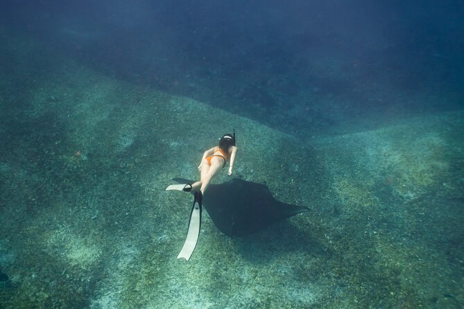 Full-Day Adventure Tour to komodo Island with join Speed Boat tur - Why this route works for a one-day Komodo trip