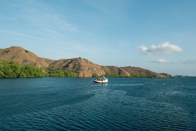 Full-Day Adventure Tour to komodo Island with join Speed Boat tur - Pink Beach: simple swimming and shallow snorkeling