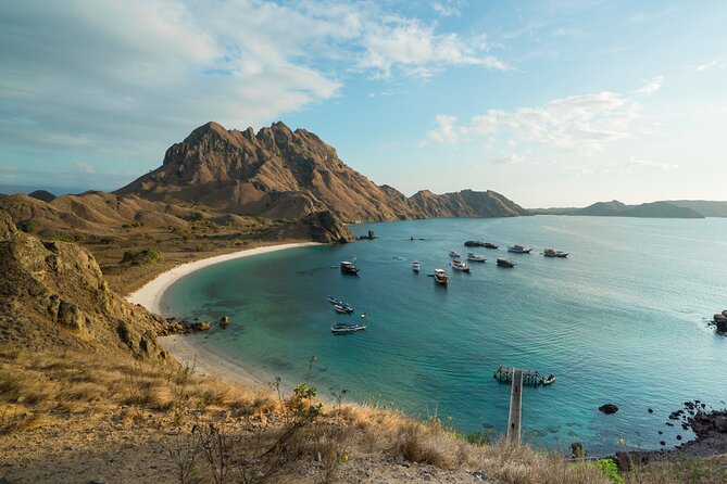 Full-Day Adventure Tour to komodo Island with join Speed Boat tur - Komodo Island: the ranger walk and the uncertain wildlife