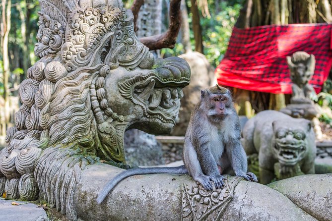 Full-Day Ayung River White Water Rafting and Ubud Tour - Sacred Monkey Forest Sanctuary