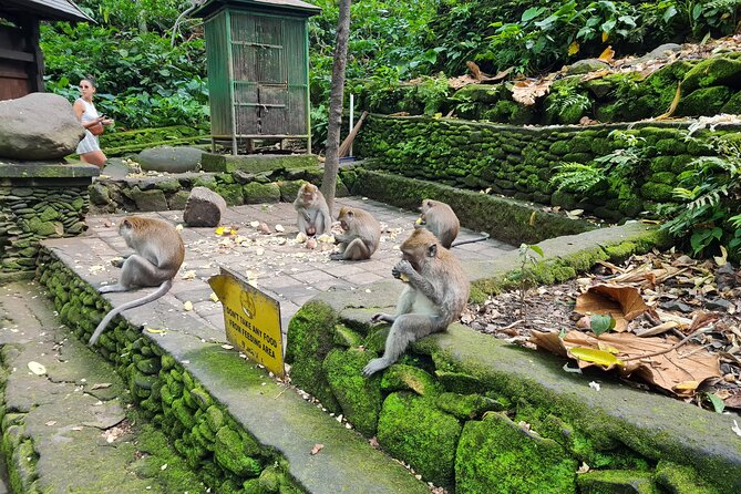 Full Day Best of Ubud Private Tour - Why this private Ubud day works