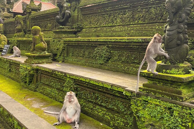 Full Day Best of Ubud Private Tour - Tirta Empul explains Bali’s sacred springs