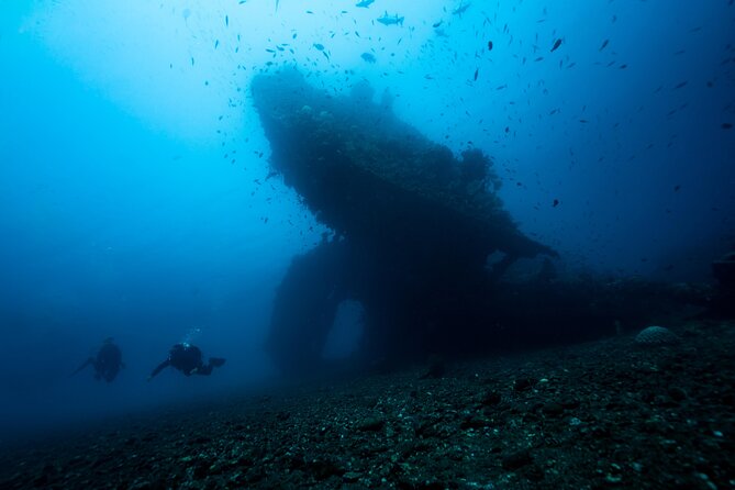 Full-Day Discover Scuba Diving Tour for Beginners in Tulamben - Who will enjoy this beginner session
