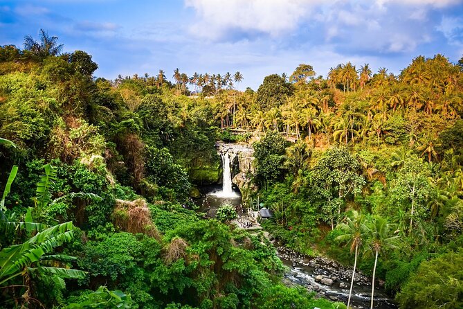 Full-Day Highlights and Best of Ubud Village - Five Ubud highlights without the usual planning headache