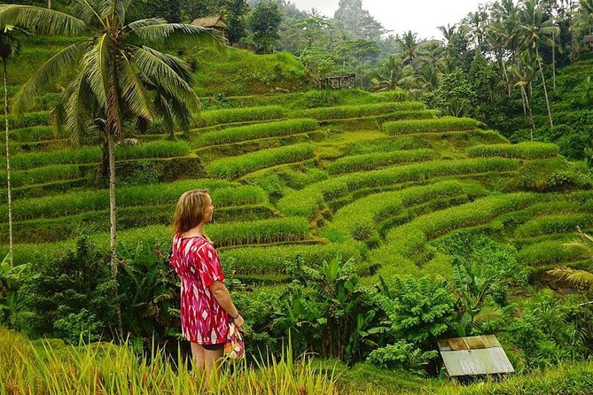 Full-Day in Bali: Private Design-Your-Own Tour - Why a private Bali day works so well