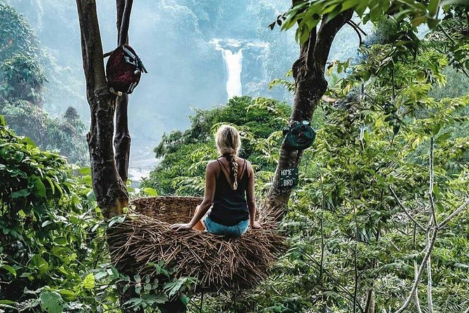 Full-Day in Bali: Private Design-Your-Own Tour - Monkey Forest, Elephant Cave, and Campuhan Ridge Walk