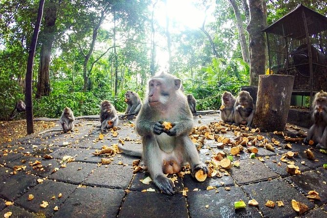 Full-Day in Bali: Private Design-Your-Own Tour - Waterfalls and rice terraces