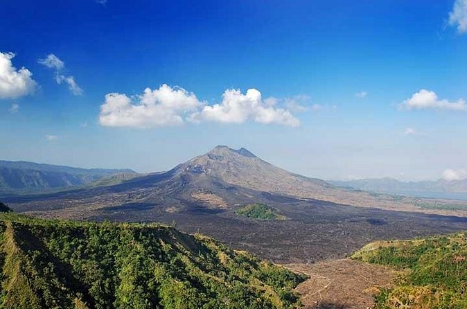 Full Day Kintamani and Penglipuran Village Private Chartered Car Tour from Bali - Coffee, crafts and the shopping question