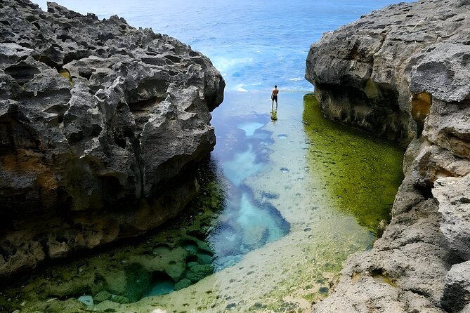 Full Day Nusa Penida Island Beach Tour From Bali - Why the private driver matters