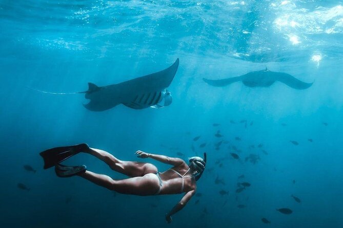 Full Day Nusa Penida Manta Point Snorkeling and West Island Tour - From Seminyak to Sanur Harbour
