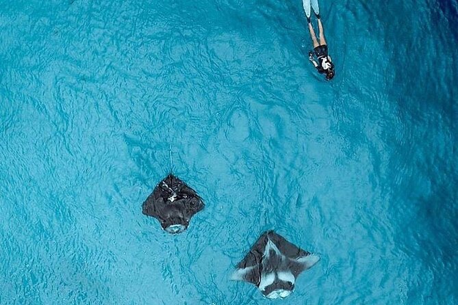 Full Day Nusa Penida Manta Point Snorkeling and West Island Tour - The real cost of a $43 package