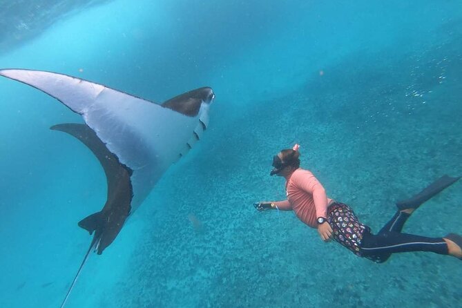 Full Day Nusa Penida Manta Point Snorkeling and West Island Tour - Manta Point: the day’s big wildlife moment