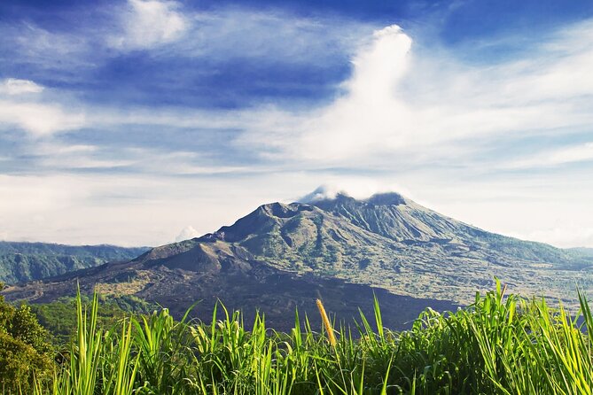 Full Day Private Guided Tour to Bali - Tegalalang Rice Terrace in 45 minutes